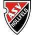 Asv Hollfeld